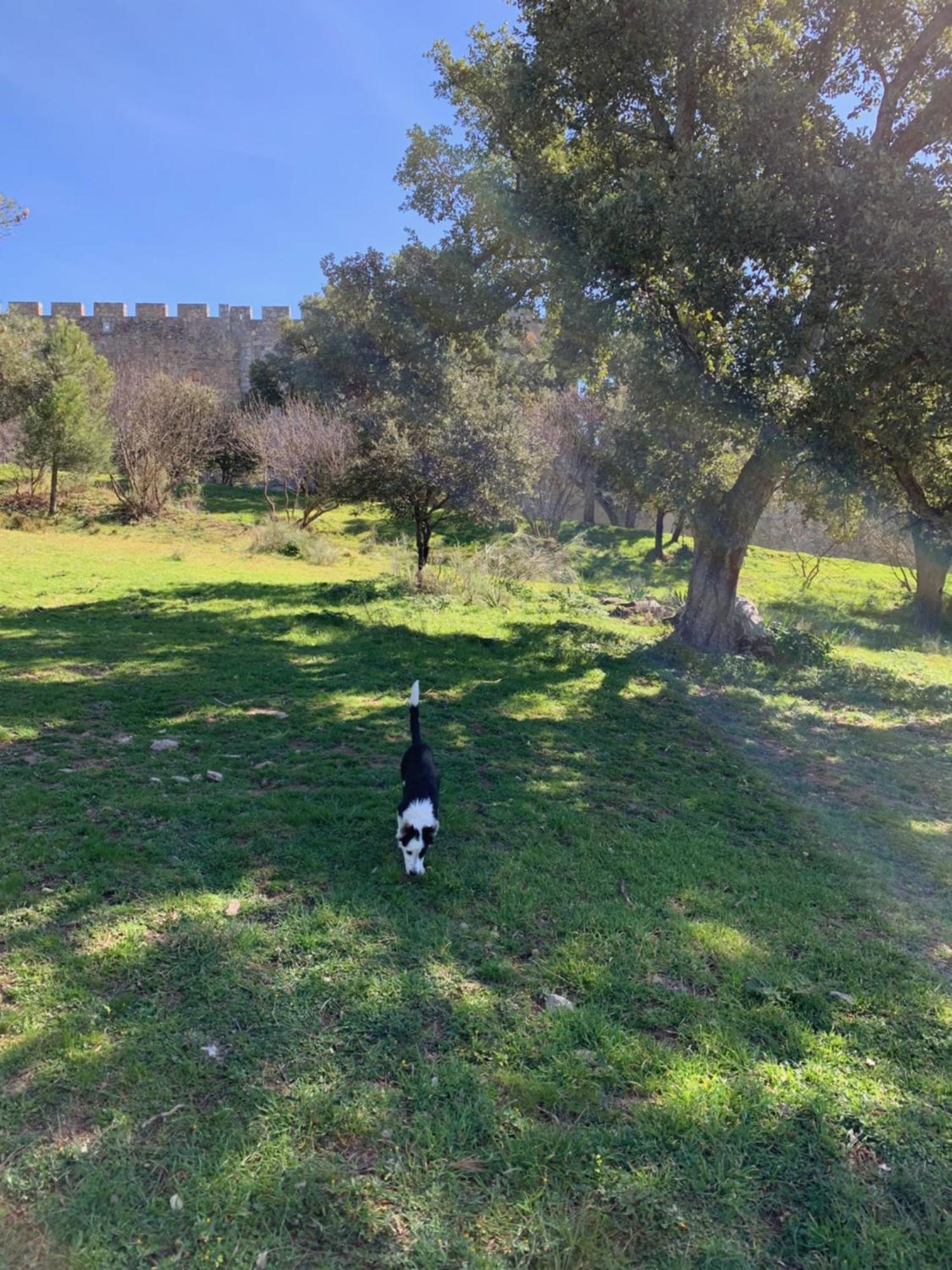 Villa El Refugio De Felix Sotillo de la Adrada Esterno foto
