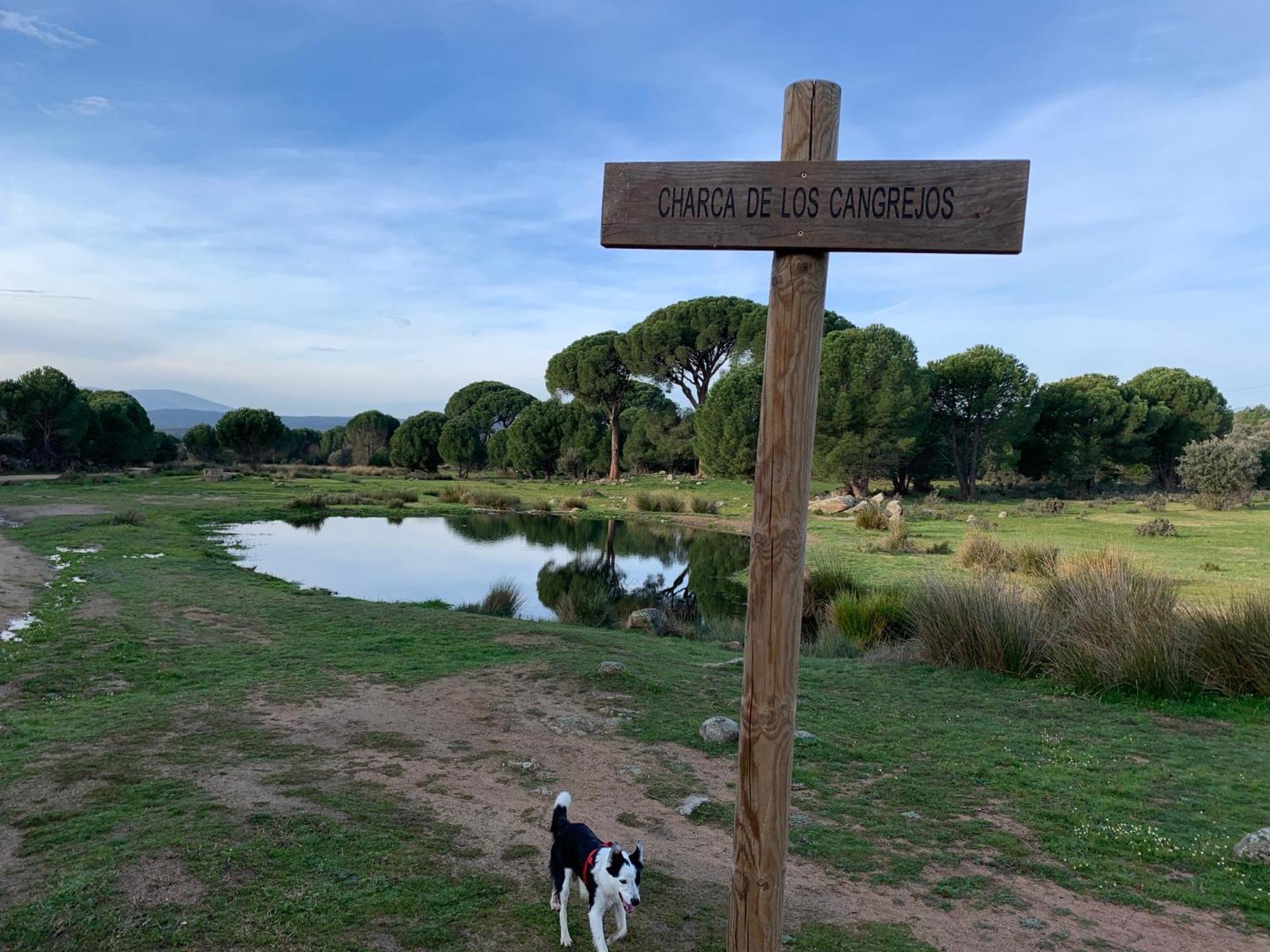 Villa El Refugio De Felix Sotillo de la Adrada Esterno foto